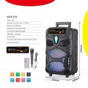  Speaker Bluetooth NDR-P55